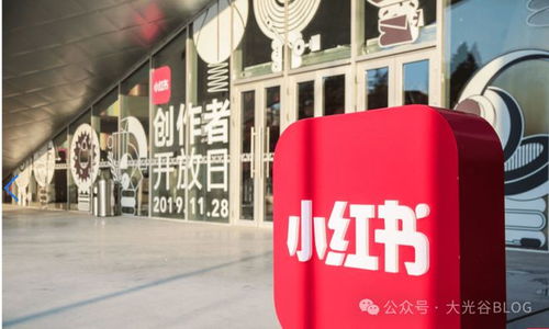 小紅書(shū)武漢公司遷址更名 戰(zhàn)略調(diào)整背后的電視節(jié)目制作經(jīng)營(yíng)布局